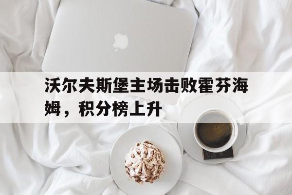 沃尔夫斯堡主场击败霍芬海姆，积分榜上升